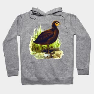 Cute birds #3 Hoodie